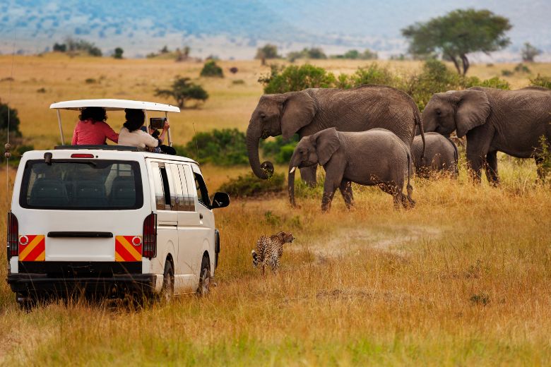 Nature Immersion Safaris: Connect with the Wild Like Never Before