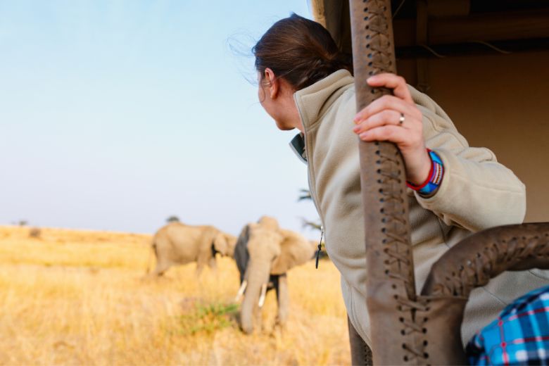 In-Depth Safari South Africa: An Unforgettable Adventure Awaits